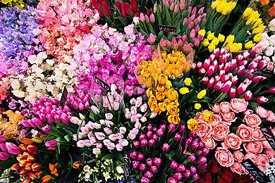 剧情冒险游戏《碧波之下》将于8月29日发售