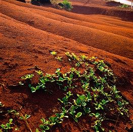 世嘉公布《魔界战记7》“西佛”中文版角色介绍