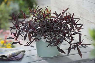 PvPvE恐怖射击砍杀游戏《HUNGER》Steam页面公布 发售日期待定